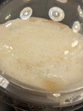 Sea Salt Latte